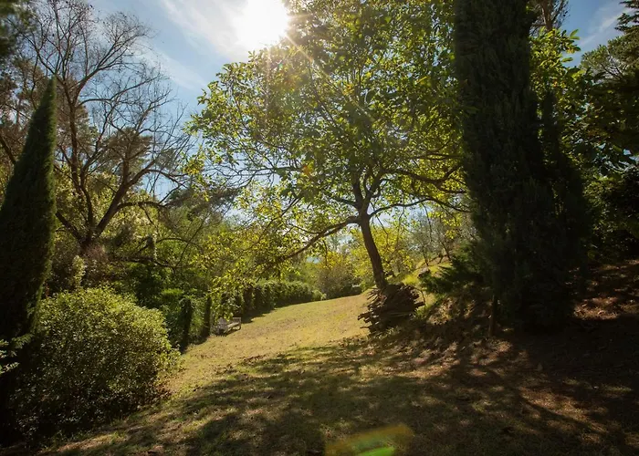 Holiday home Monteaperto